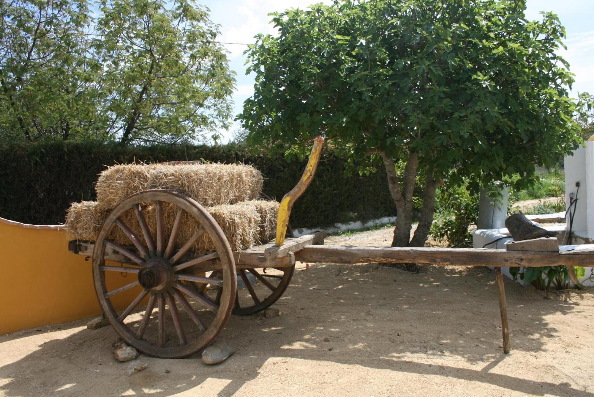 Hacienda Los Majadales コニル・デ・ラ・フロンテラ エクステリア 写真